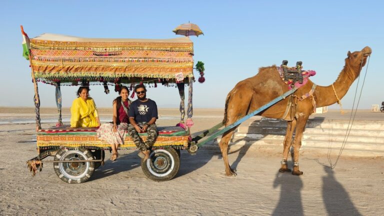The Best Travel Tips from Travel Agency Heta Experts